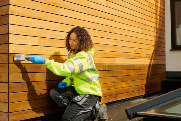 Best Steel Siding Installation  in Ardmore, AL